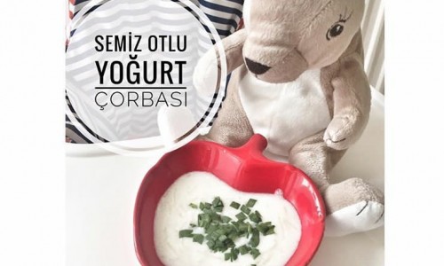 Semizotlu Yoğurt Çorbası (8 ay ve üzeri )